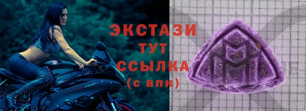 ECSTASY Елизово