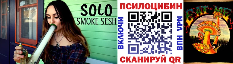 Купить где  Искитим  Псилоцибиновые грибы Psilocybine cubensis 